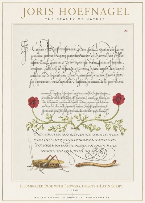 Joris Hoefnagel Illuminated Page with Flowers, Insects & Latin Script No1 - Poster