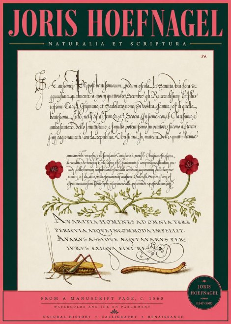 Joris Hoefnagel Illuminated Page with Flowers, Insects & Latin Script No3 - Poster