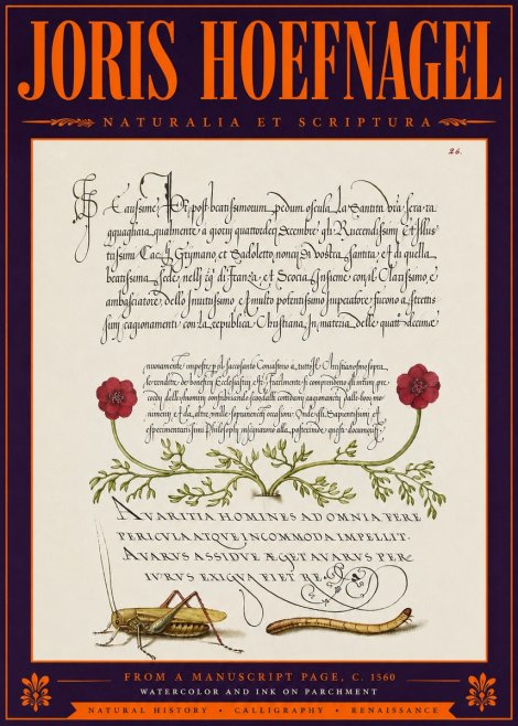 Joris Hoefnagel Illuminated Page with Flowers, Insects & Latin Script No6 - Poster