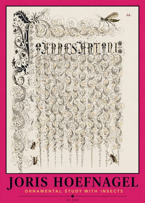 Joris Hoefnagel Ornamental Study with Insects No2 - Poster