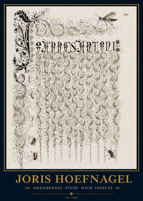 Joris Hoefnagel Ornamental Study with Insects No3 - Poster