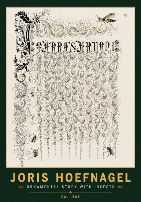 Joris Hoefnagel Ornamental Study with Insects No4 - Poster