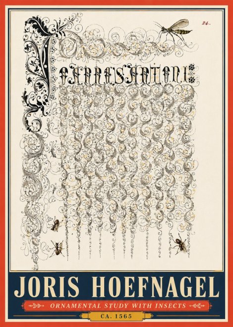 Joris Hoefnagel Ornamental Study with Insects No5 - Poster
