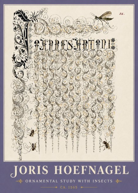 Joris Hoefnagel Ornamental Study with Insects No6 - Poster