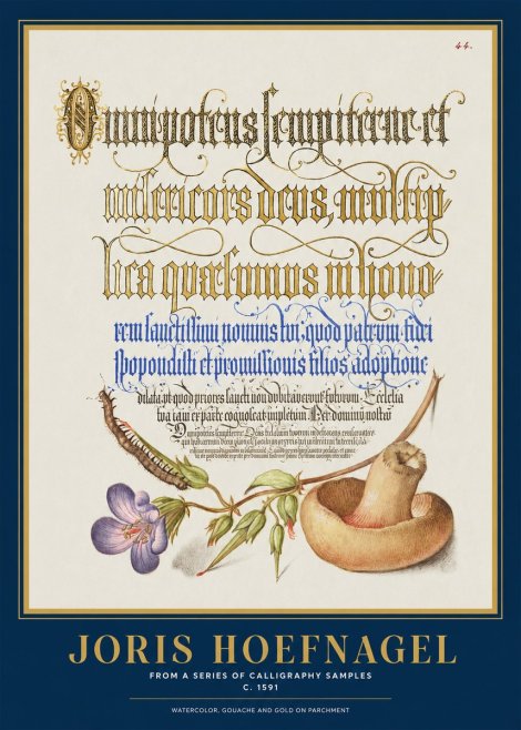 Joris Hoefnagel From a Series of Calligraphy Samples No1 - Poster