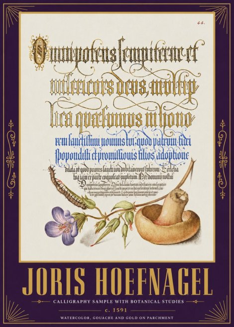 Joris Hoefnagel From a Series of Calligraphy Samples No5 - Poster