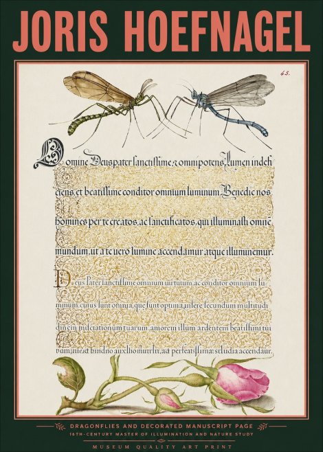 Joris Hoefnagel Dragonflies and Decorated Manuscript Page No3 - Poster