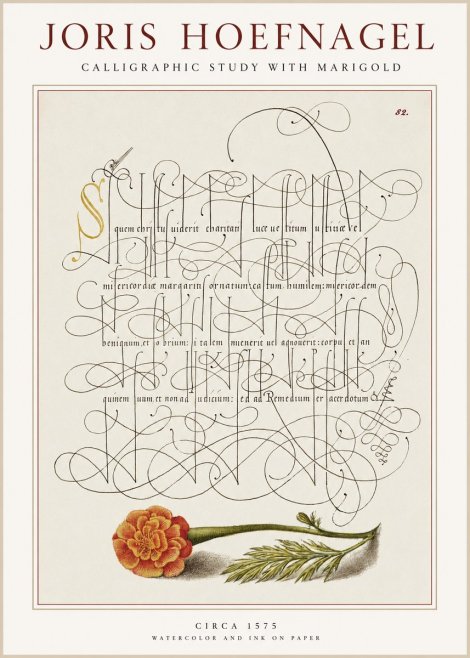 Joris Hoefnagel Calligraphic Study with Marigold No1 - Poster
