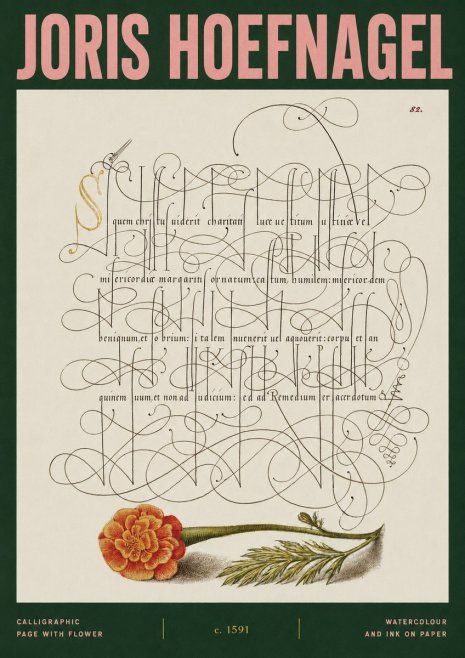 Joris Hoefnagel Calligraphic Study with Marigold No3 - Poster