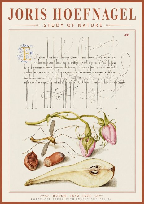 Joris Hoefnagel Studies of Plants, Insects and Fruits No5 - Poster