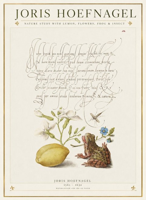 Joris Hoefnagel Nature Study with Lemon, Flowers, Frog & Insect No1 - Poster