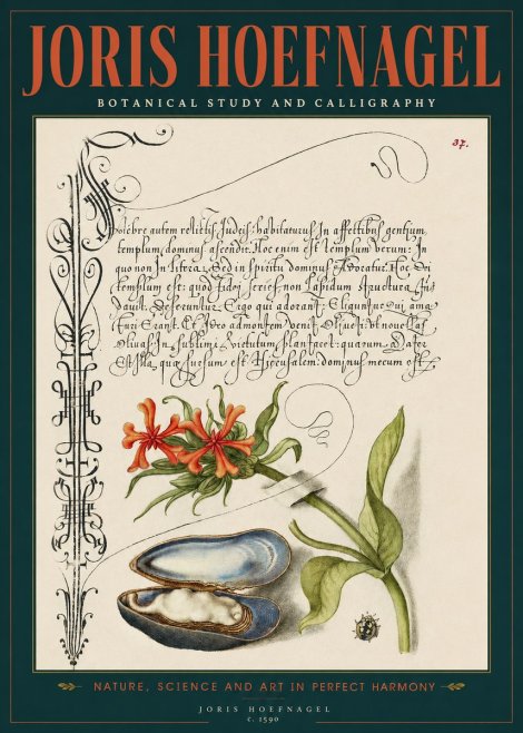 Joris Hoefnagel Botanical Study and Calligraphic Page No2 - Poster