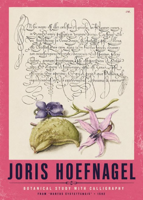 Joris Hoefnagel Botanical Study with Calligraphy I No2 - Poster