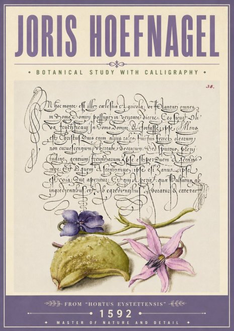 Joris Hoefnagel Botanical Study with Calligraphy I No6 - Poster