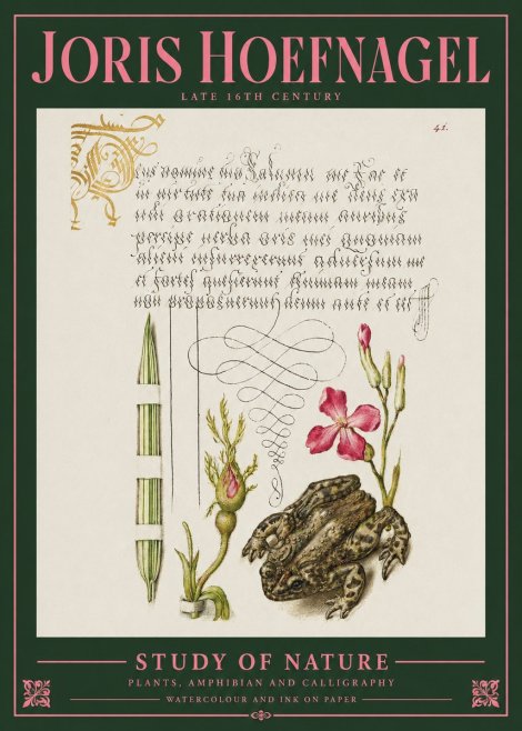 Joris Hoefnagel Study of Nature I No2 - Poster