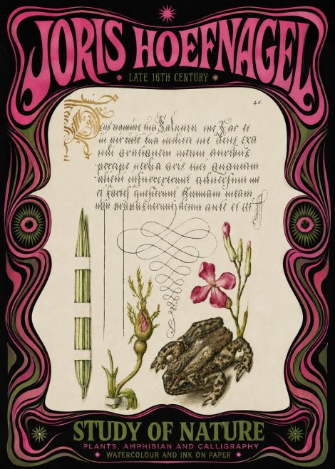 Joris Hoefnagel Study of Nature I No3 - Poster