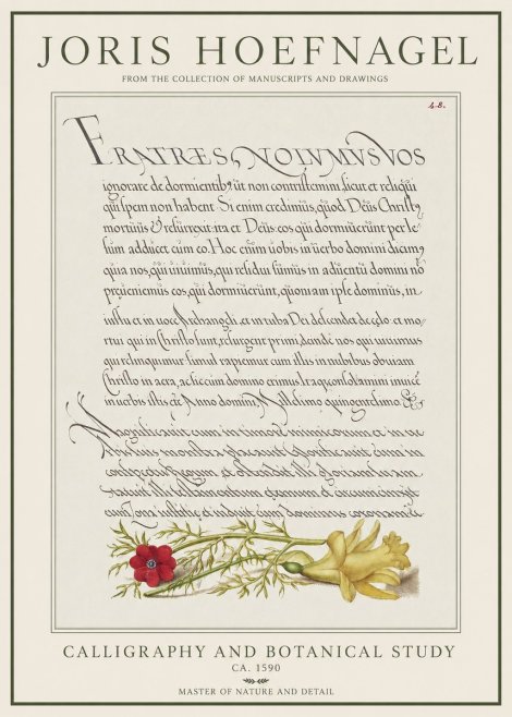 Joris Hoefnagel Calligraphy and Botanical Study I No1 - Poster