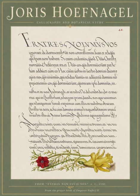Joris Hoefnagel Calligraphy and Botanical Study I No4 - Poster