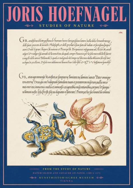 Joris Hoefnagel From the Study of Nature No2 - Poster