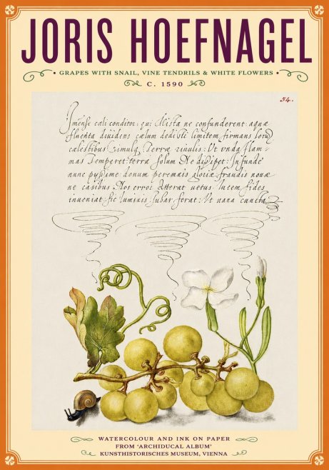 Joris Hoefnagel Grapes with Snail, Vine Tendrils & White Flowers No6 - Poster