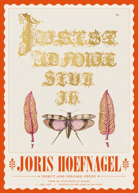Joris Hoefnagel Insect and Foliage Study No3 - Poster