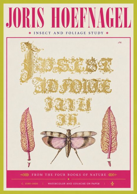 Joris Hoefnagel Insect and Foliage Study No4 - Poster