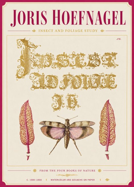 Joris Hoefnagel Insect and Foliage Study No6 - Poster