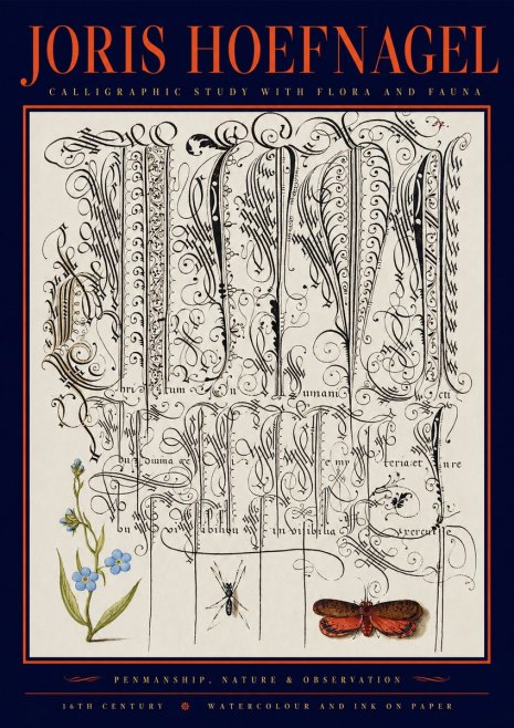 Joris Hoefnagel Calligraphic Study with Flora and Fauna No2 - Poster
