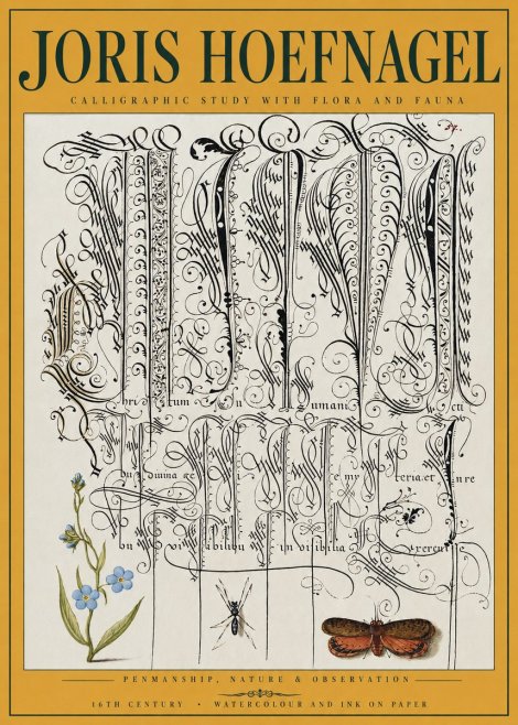 Joris Hoefnagel Calligraphic Study with Flora and Fauna No3 - Poster