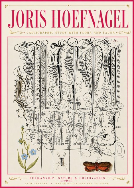 Joris Hoefnagel Calligraphic Study with Flora and Fauna No6 - Poster