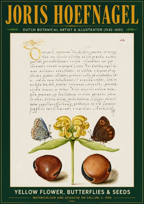 Joris Hoefnagel Yellow Flower, Butterflies & Seeds No5 - Poster