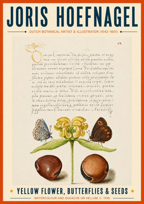 Joris Hoefnagel Yellow Flower, Butterflies & Seeds No6 - Poster