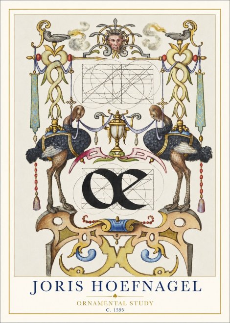Joris Hoefnagel Ornamental Study I No1 - Poster