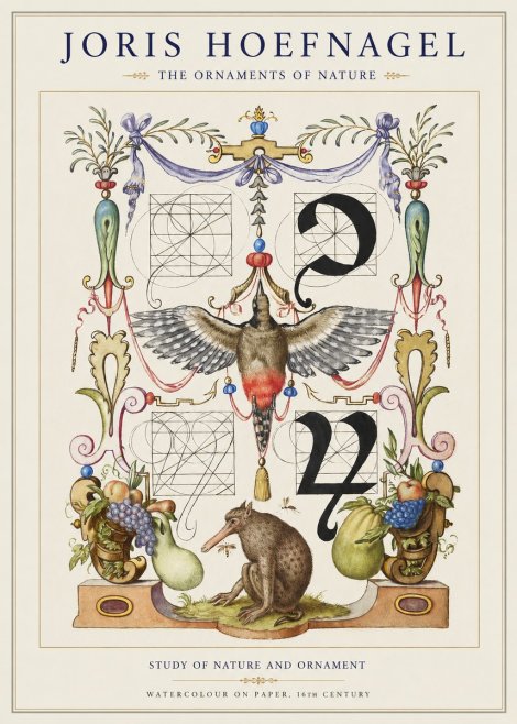 Joris Hoefnagel Study of Nature and Ornament No1 - Poster