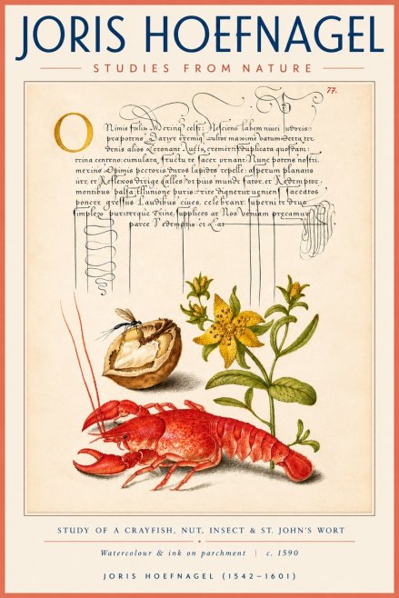 Joris Hoefnagel Studies from Nature No4 - Poster