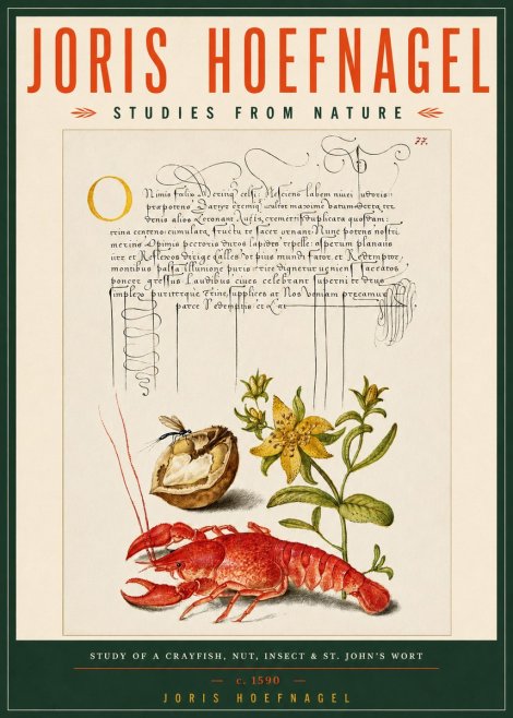 Joris Hoefnagel Studies from Nature No5 - Poster