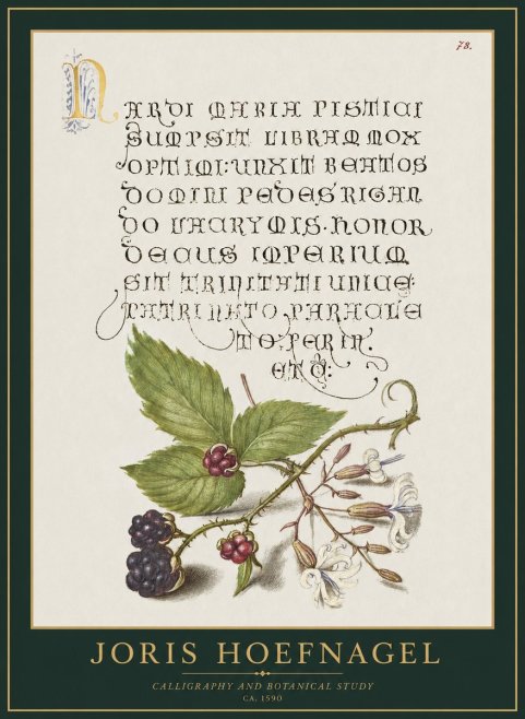 Joris Hoefnagel Calligraphy and Botanical Study II No1 - Poster