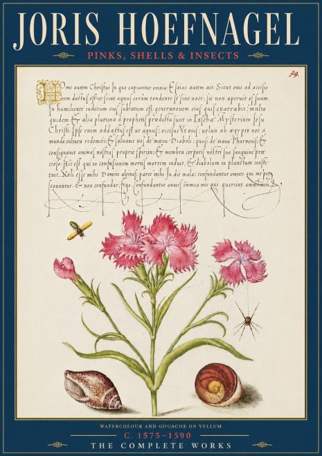 Joris Hoefnagel Pinks, Shells & Insects No5 - Poster