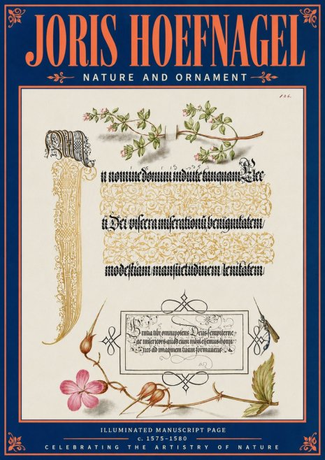 Joris Hoefnagel Illuminated Manuscript Page with Flowers and Insect No5 - Poster