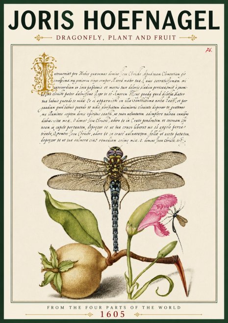 Joris Hoefnagel Dragonfly, Plant and Fruit No6 - Poster