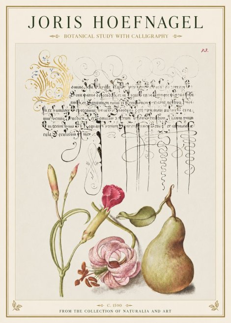 Joris Hoefnagel Botanical Study with Calligraphy II No1 - Poster