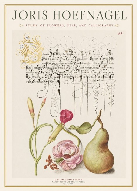 Joris Hoefnagel Botanical Study with Calligraphy II No2 - Poster