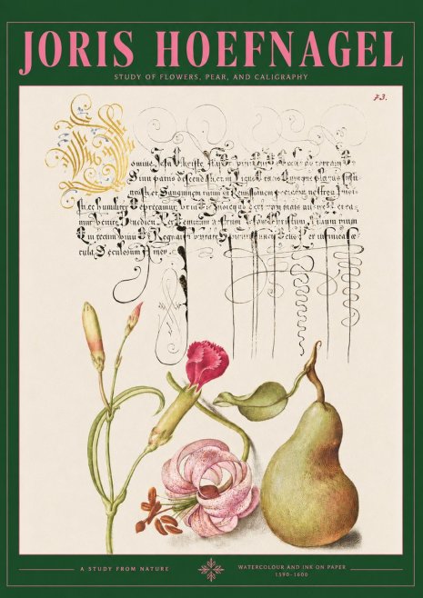 Joris Hoefnagel Botanical Study with Calligraphy II No3 - Poster