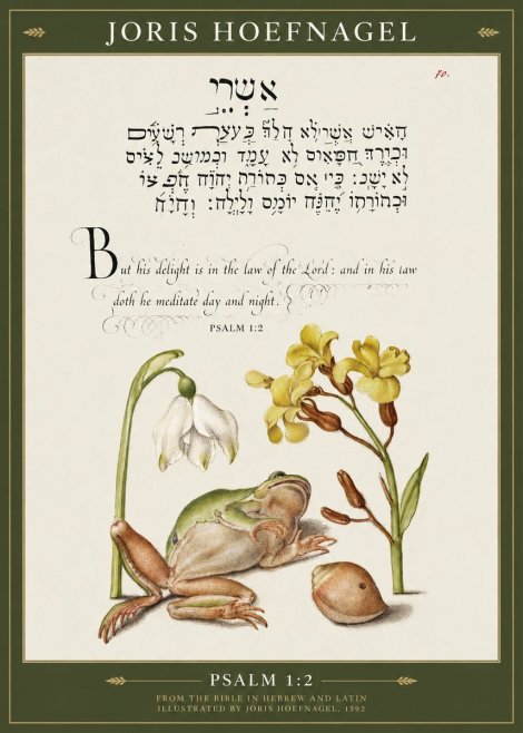 Joris Hoefnagel Psalm 1:2 No1 - Poster