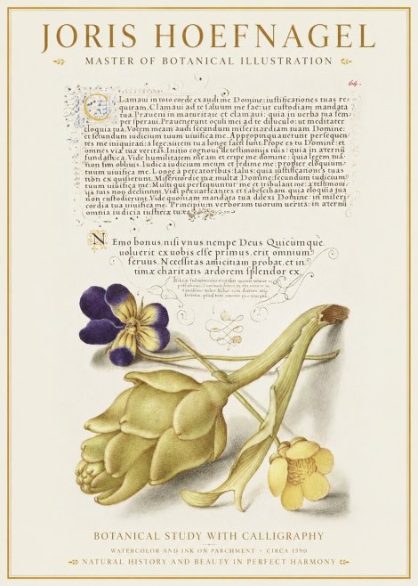 Joris Hoefnagel Botanical Study with Calligraphy III No1 - Poster
