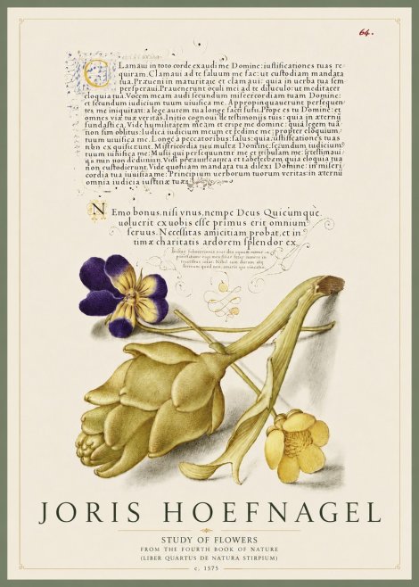 Joris Hoefnagel Botanical Study with Calligraphy III No5 - Poster