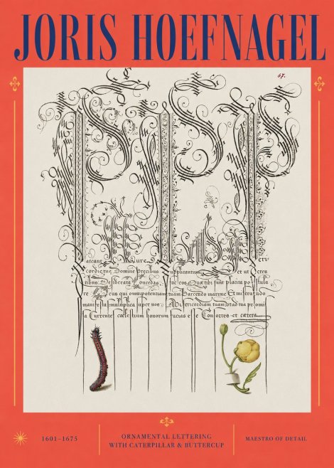Joris Hoefnagel Ornamental Calligraphy with Caterpillar and Buttercup No3 - Poster