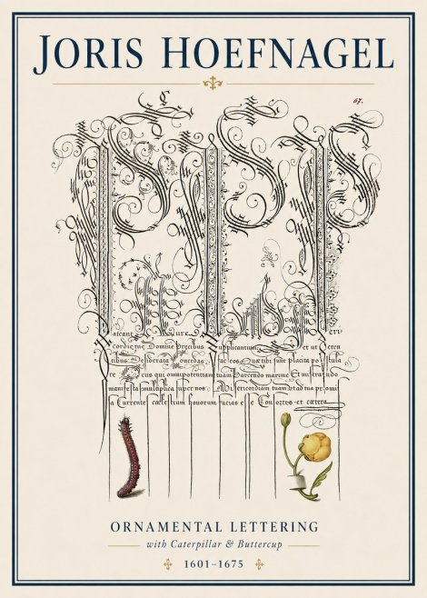 Joris Hoefnagel Ornamental Calligraphy with Caterpillar and Buttercup No4 - Poster