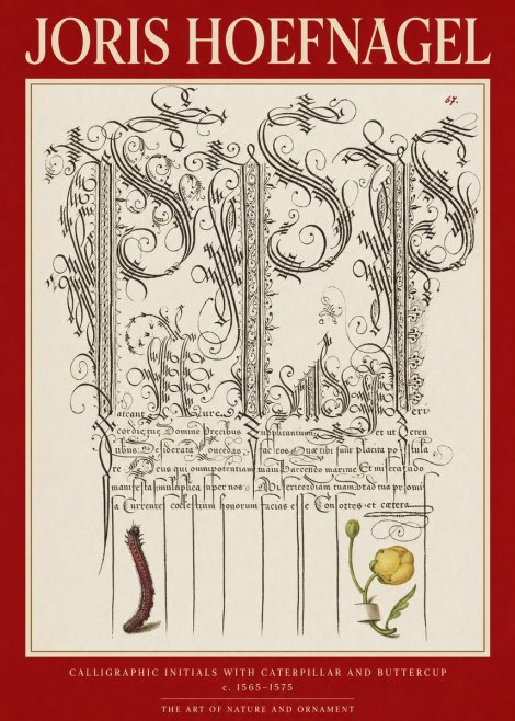Joris Hoefnagel Ornamental Calligraphy with Caterpillar and Buttercup No6 - Poster