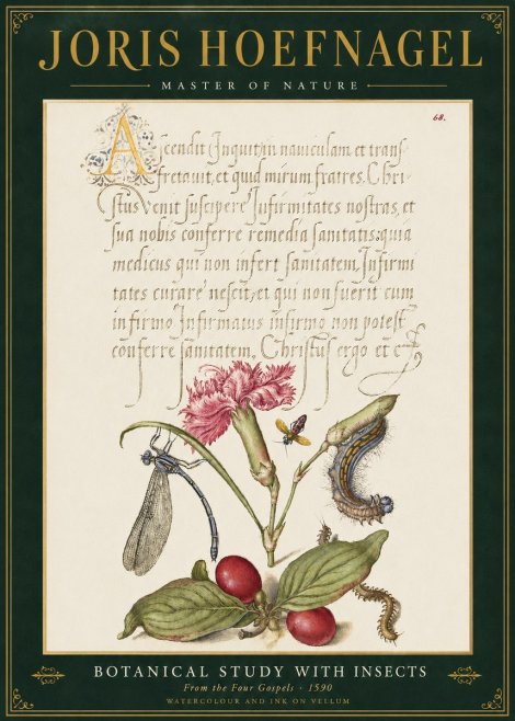Joris Hoefnagel Botanical Study with Insects No3 - Poster